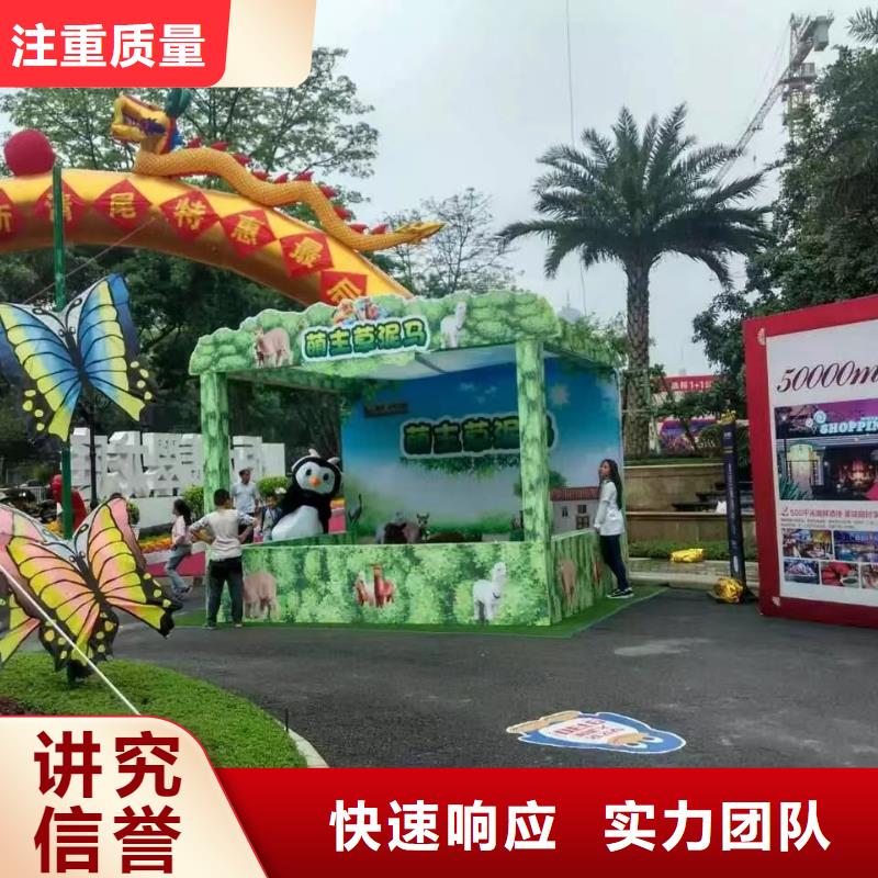 羊驼出租厂家广受好评
