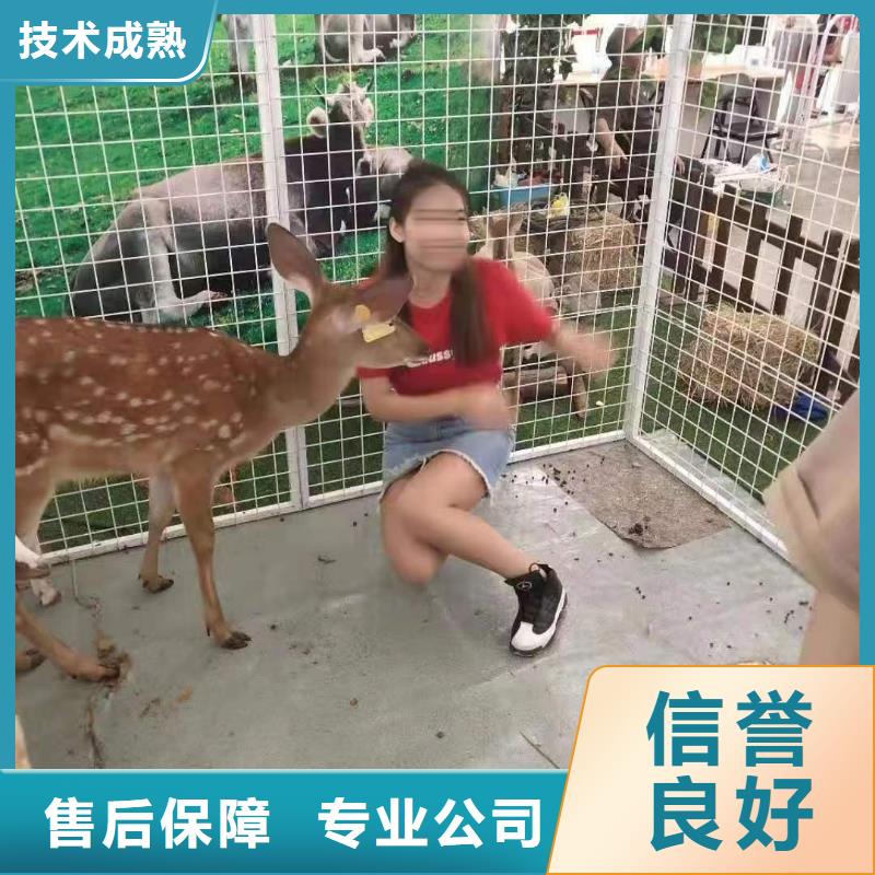 马戏团/羊驼海洋展租赁质优价廉