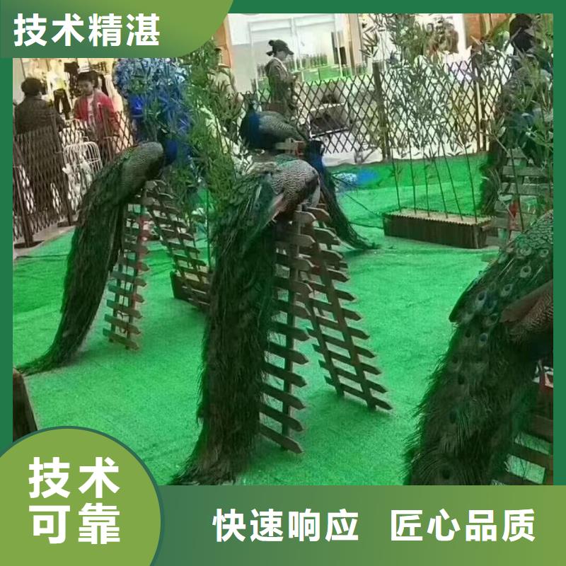 马戏团/羊驼海狮表演出租注重质量