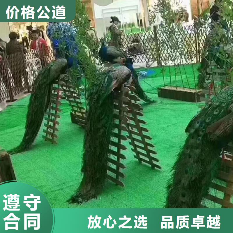 萌宠展出租庆典暖场