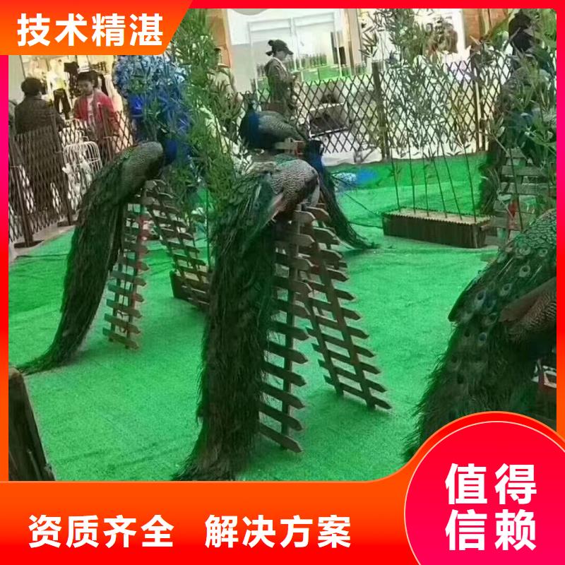 马戏团/羊驼马戏团表演出租租赁高性价比