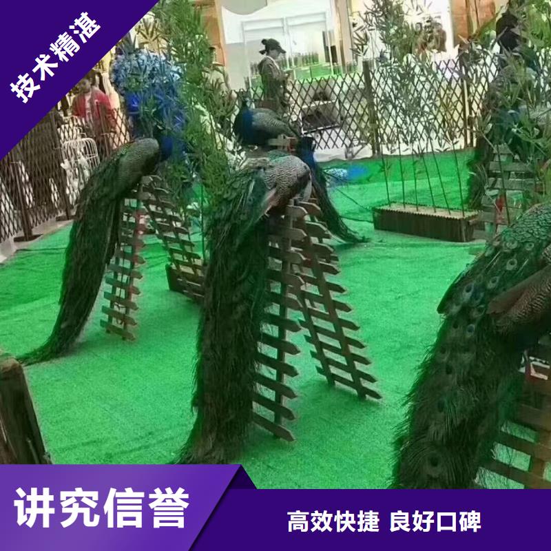动物出租公司电话
