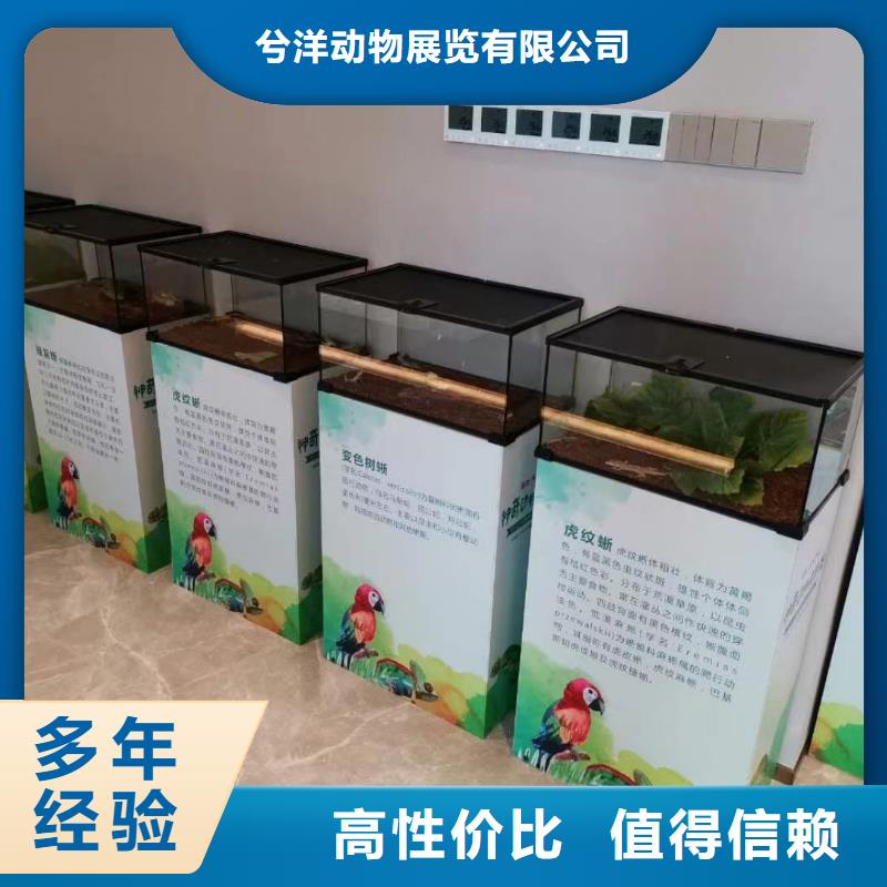 马戏团/羊驼_【出租马戏团表演】效果满意为止