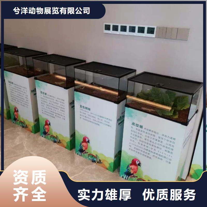 马戏团/羊驼小香猪宠物出租全市24小时服务