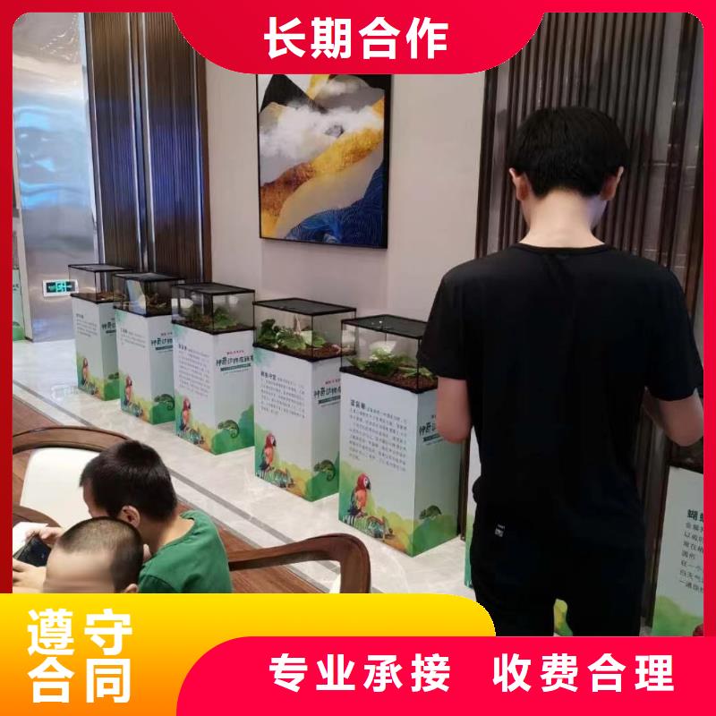 马戏团/羊驼【海狮表演】一站式服务