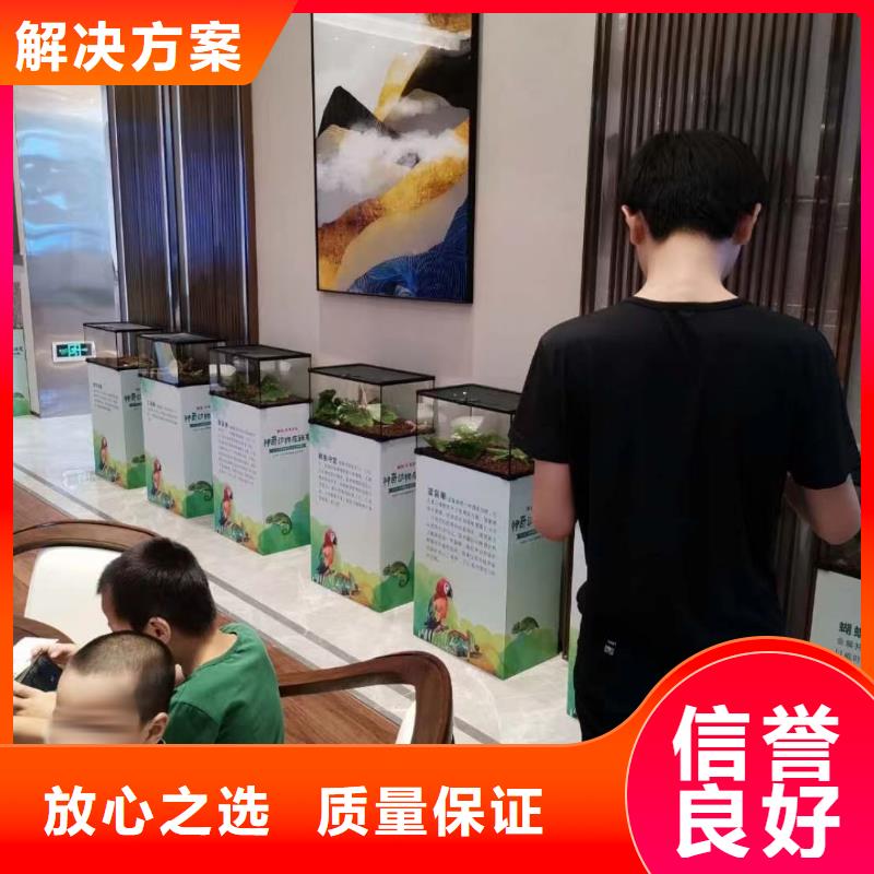 【馬戲團(tuán)/羊駝,吉祥百鳥(niǎo)展2025公司精心】