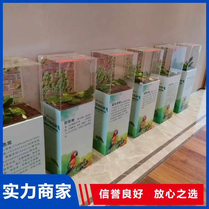 马戏团/羊驼美人鱼表演出租专业品质