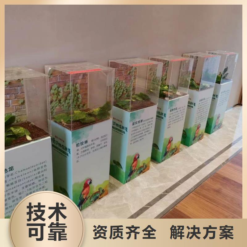 马戏团/羊驼_商场马戏表演出租省钱省时