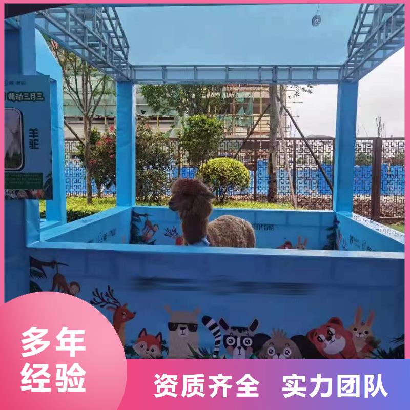 马戏团/羊驼出租表演羊驼齐全