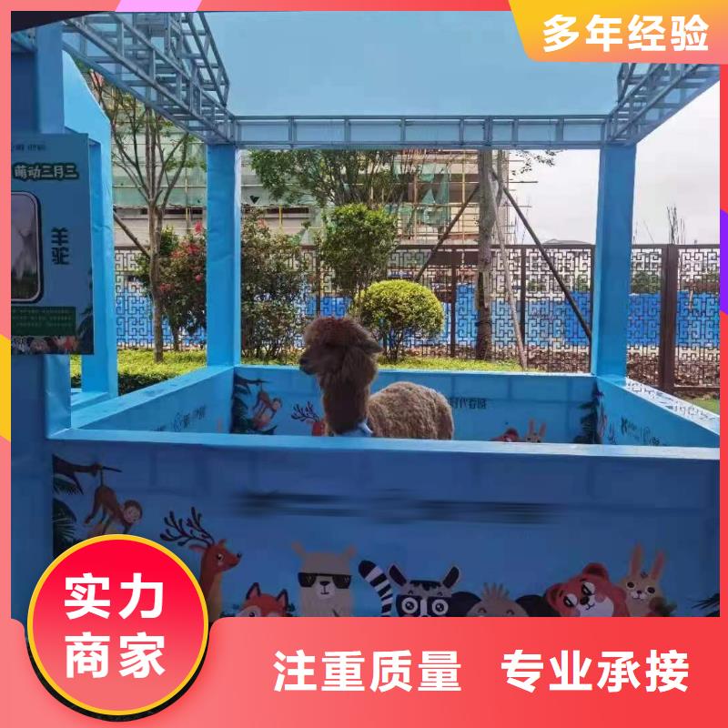 马戏团/羊驼海狮表演出租遵守合同