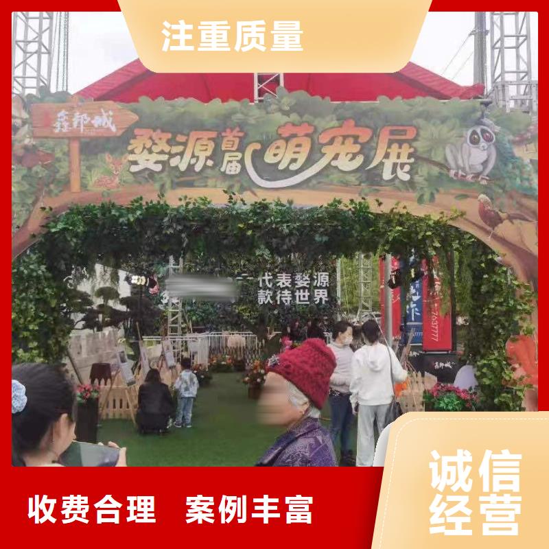 环球飞车表演租赁