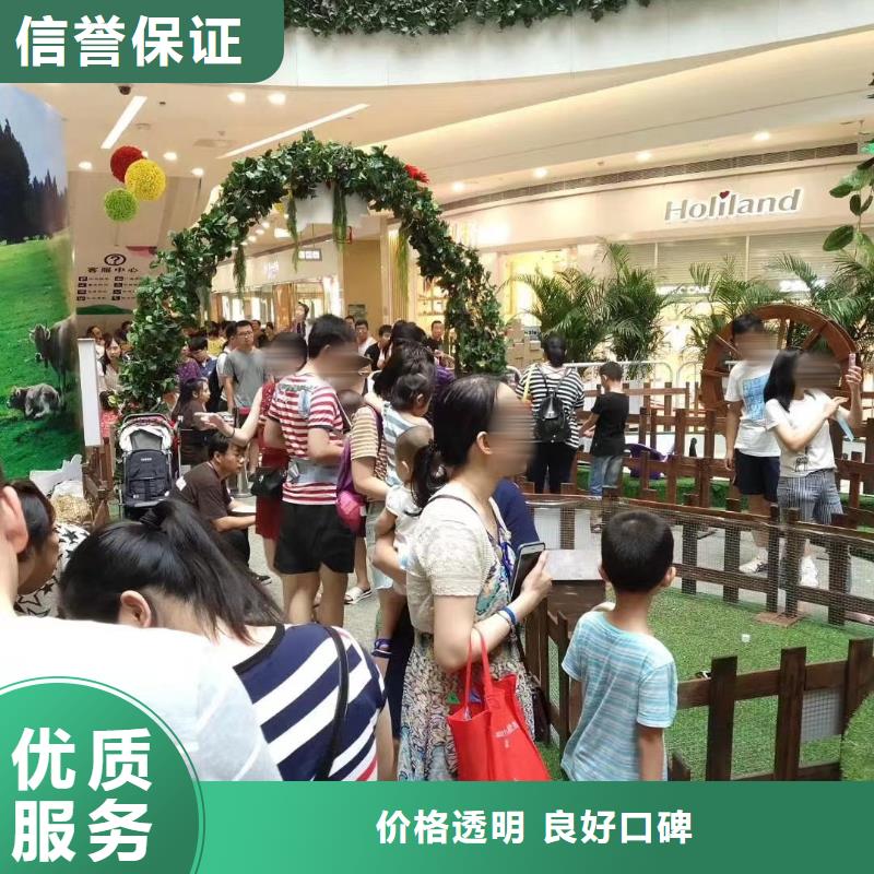 马戏团/羊驼表演动物出租正规团队