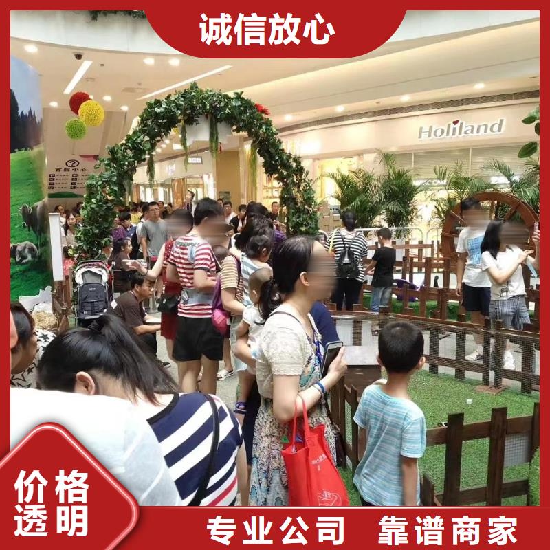 哪里有出租动物的暖场