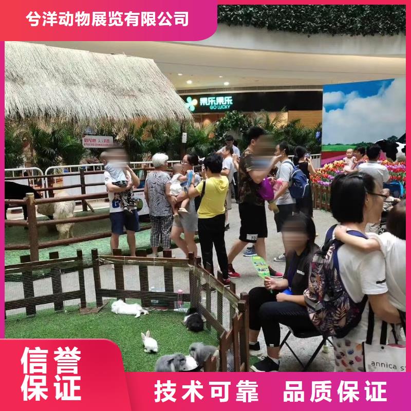 马戏团/羊驼_表演动物出租全市24小时服务