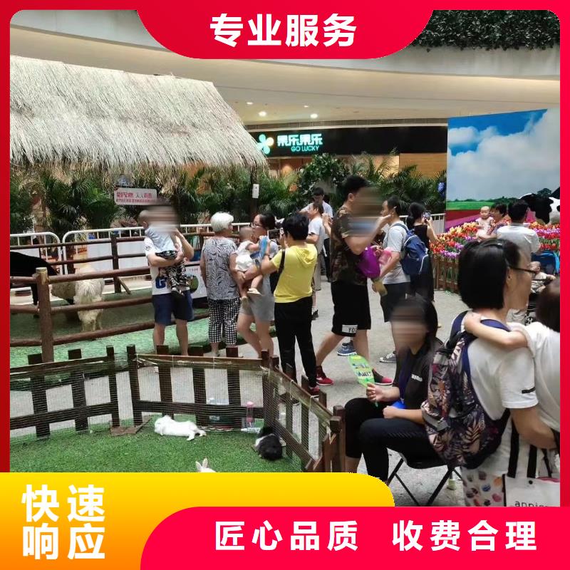 马戏团/羊驼海狮演出诚信
