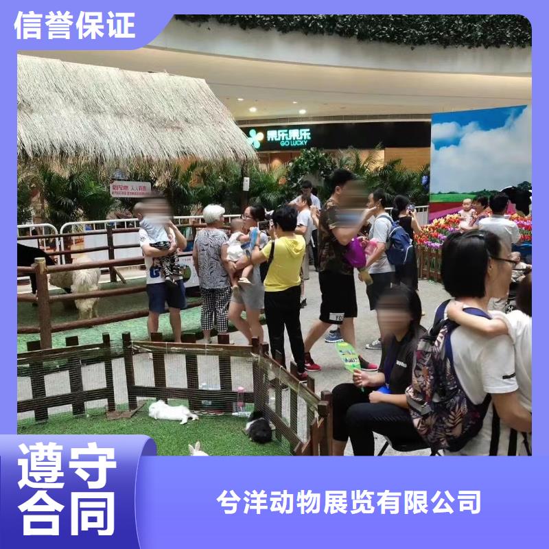 美人鱼表演-视频-大兴安岭市美人鱼表演-兮洋动物展览(大兴安岭市分公司)服务区域呼玛|塔河|哈尔滨|绥化|鹤岗|佳木斯|齐齐哈尔|黑河