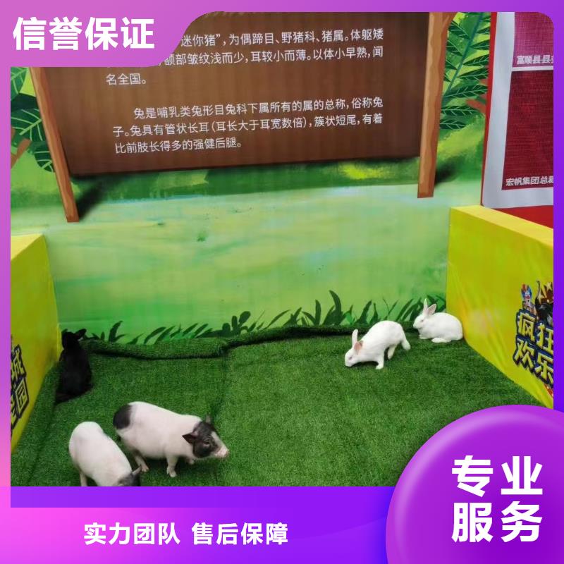 動物展出租圖片