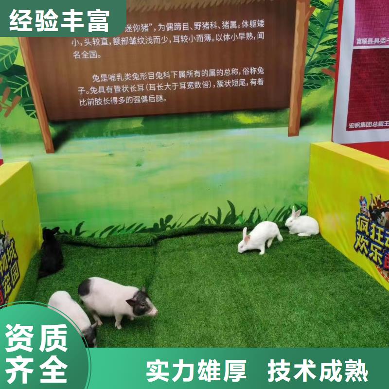 马戏团/羊驼海洋展租赁质优价廉