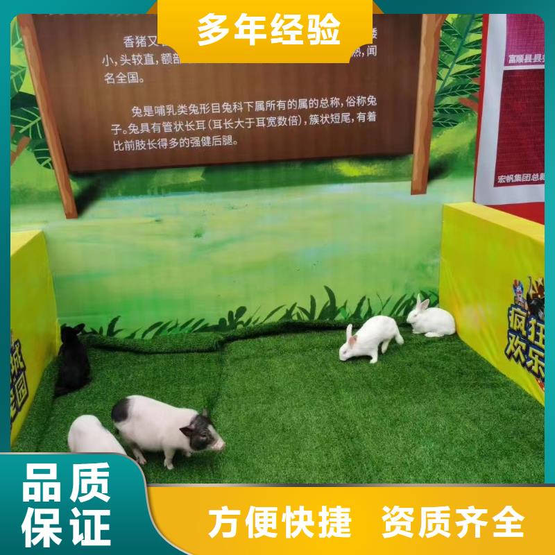 羊驼租赁公司活动方案
