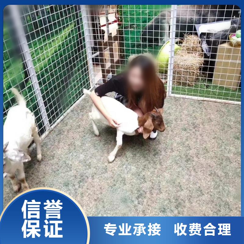 动物展出租
