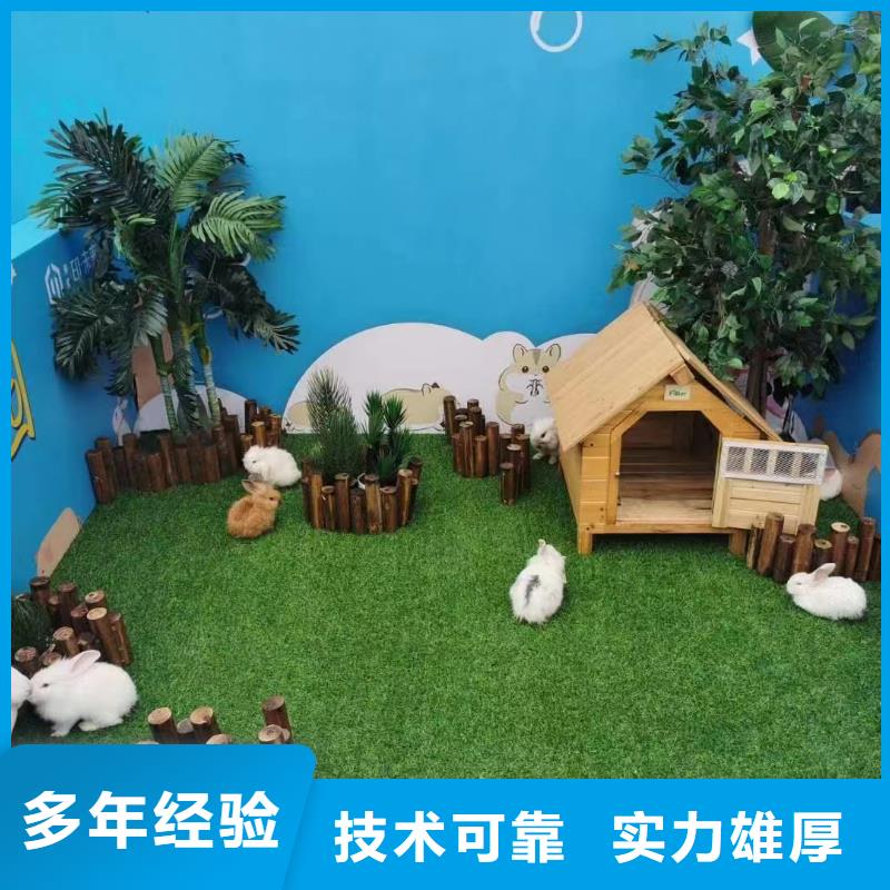 哪有出租動物的附近