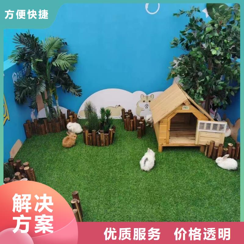 馬戲團/羊駝,動物表演出租快速響應