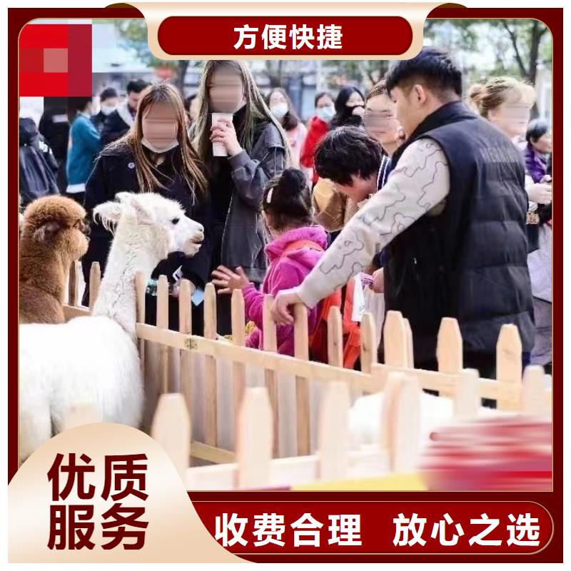 马戏团/羊驼租赁美人鱼表演值得信赖
