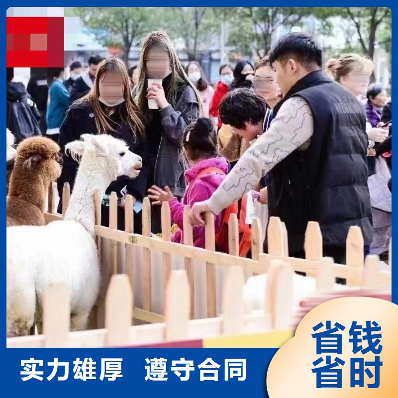动物表演租赁一手资源