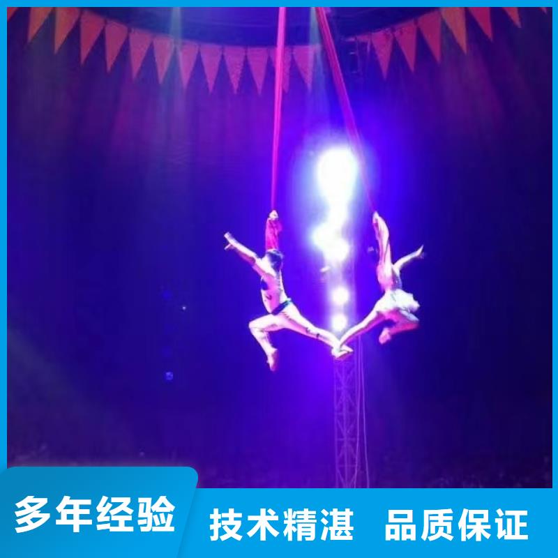 馬戲團(tuán)/羊駝【房地產(chǎn)開盤慶典】先進(jìn)的技術(shù)