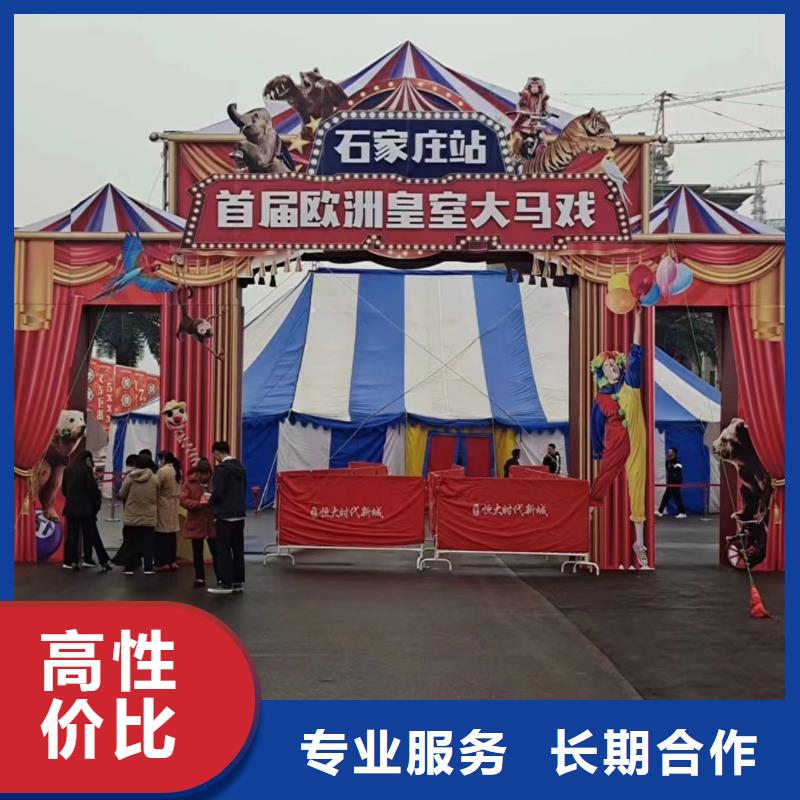 馬戲團(tuán)/羊駝,鸚鵡表演公司