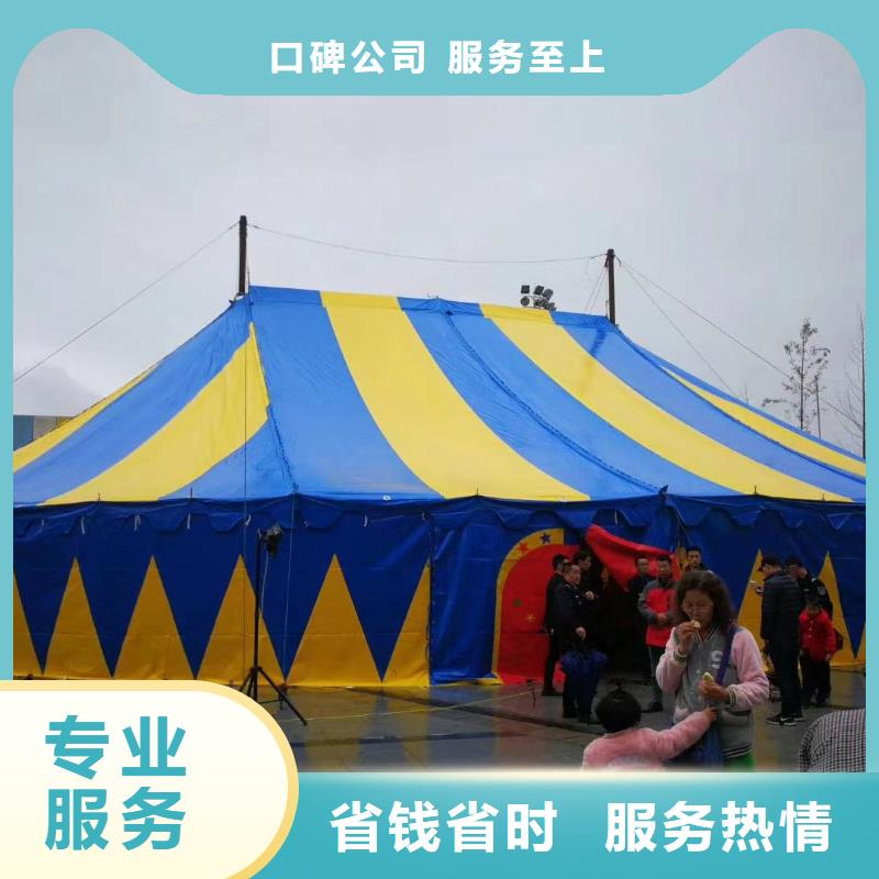 【马戏团/羊驼】观赏性羊驼租赁品质好