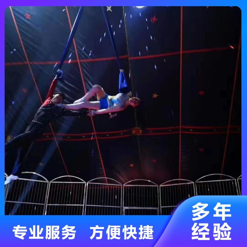 马戏团/羊驼,海狮表演出租价格低于同行