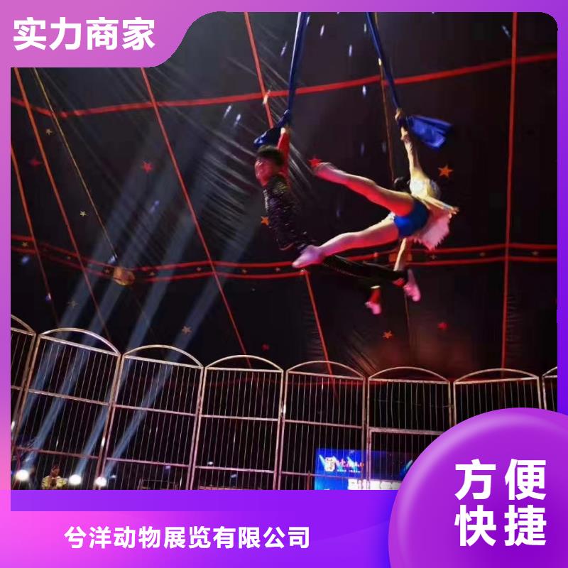 拒绝虚高价马戏团/羊驼 【美人鱼表演】一站搞定-兮洋动物展览有限公司