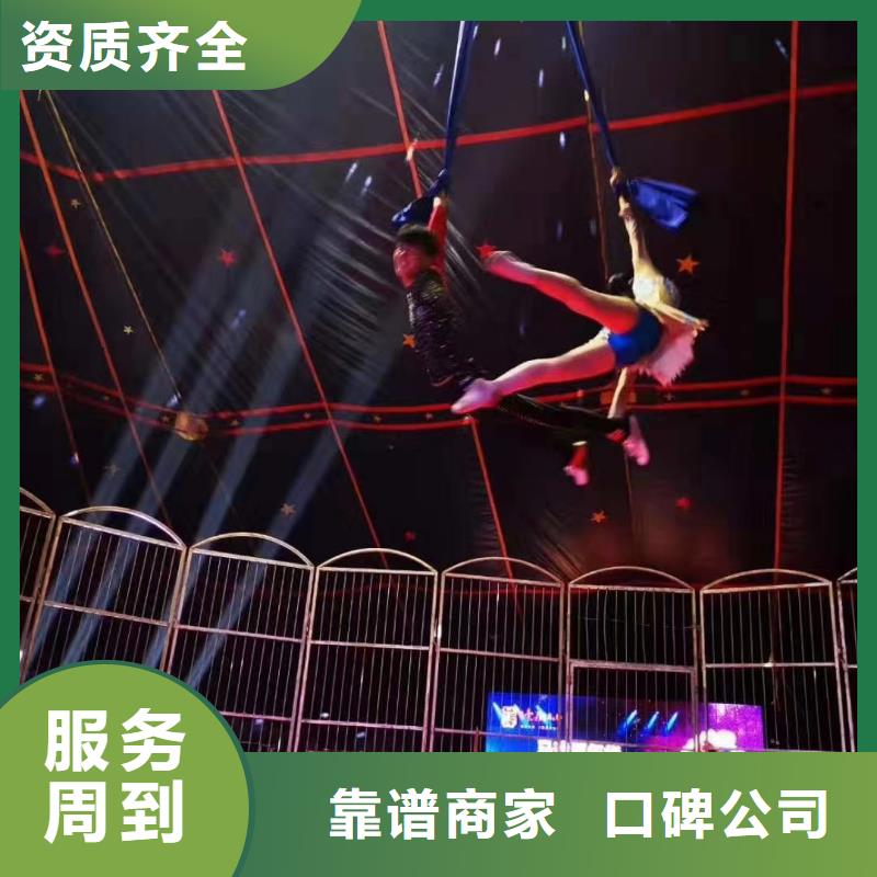 马戏团/羊驼_商场马戏表演出租省钱省时