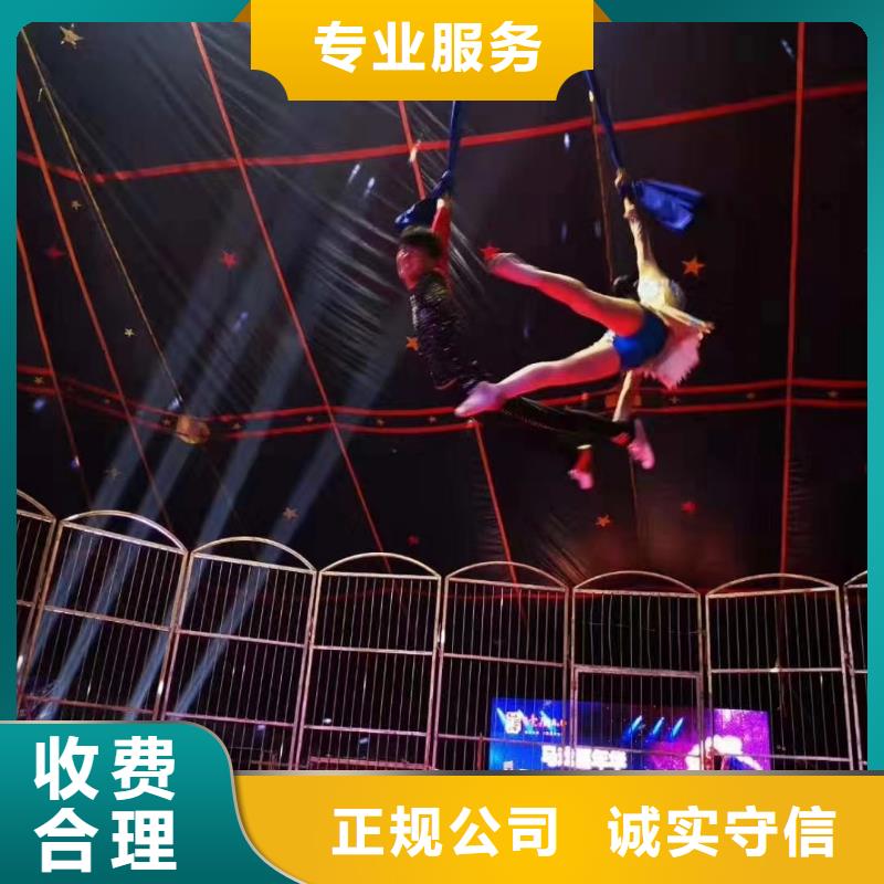 马戏团/羊驼【海狮表演】一站式服务