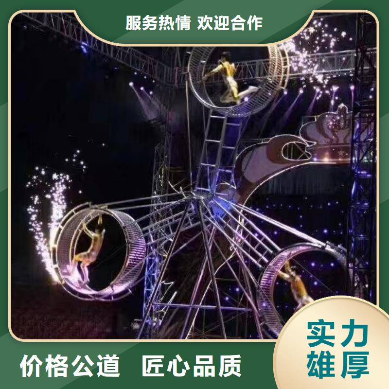 马戏团/羊驼【海狮表演】一站式服务