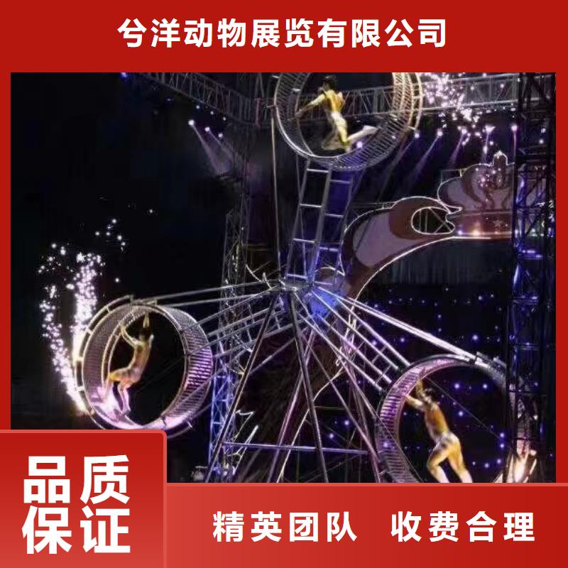 马戏团/羊驼美人鱼表演资质齐全