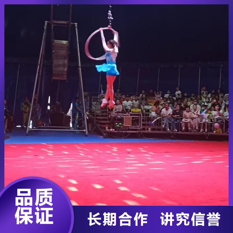 马戏团/羊驼企鹅出租专业公司