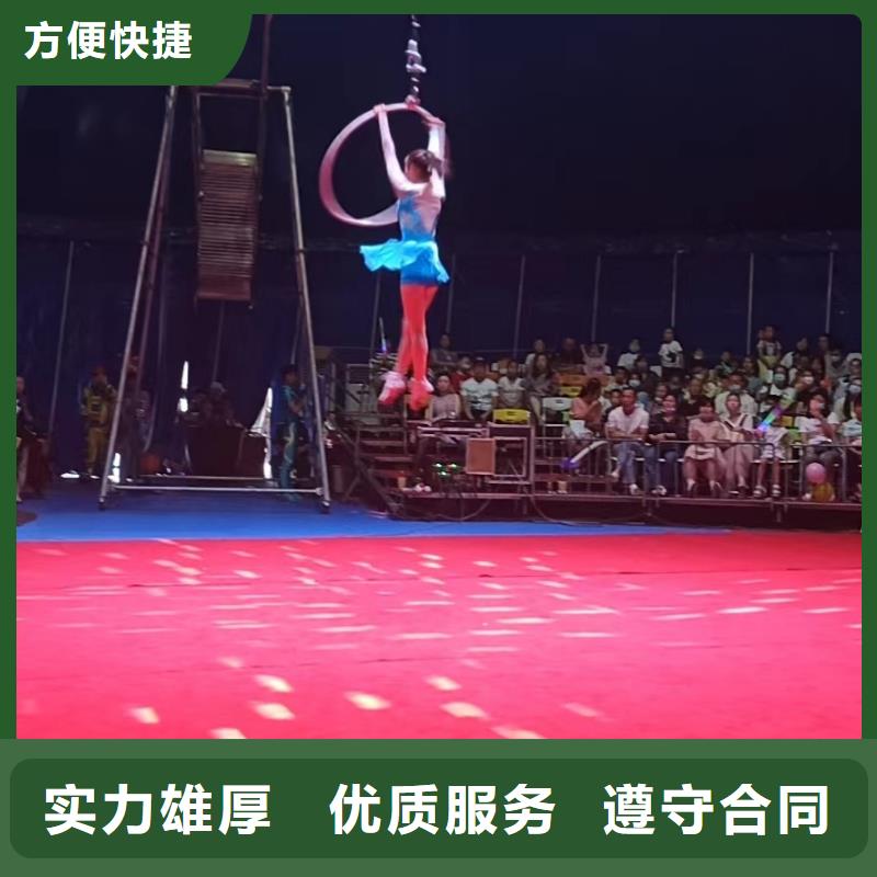 信誉良好【马戏团/羊驼】,马戏团表演价格透明
