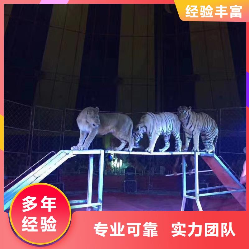 萌宠展出租