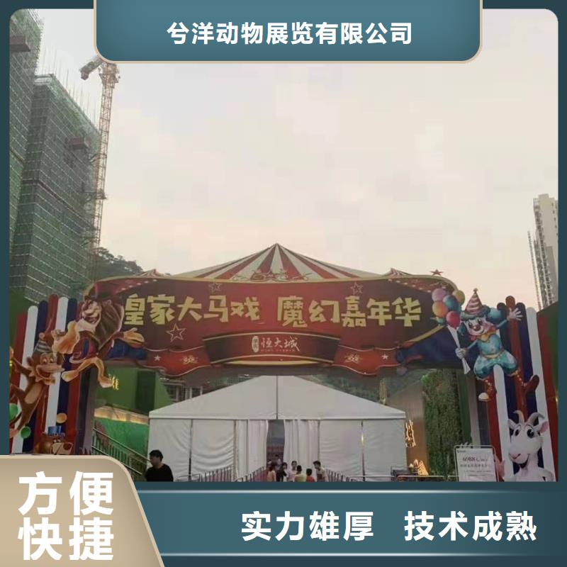 大飛輪表演出租