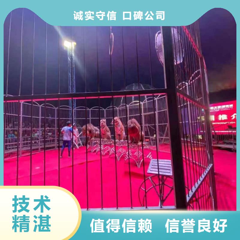 萌宠动物展租赁图片