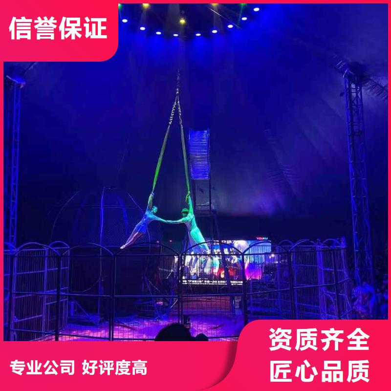马戏团/羊驼海洋展租赁放心之选