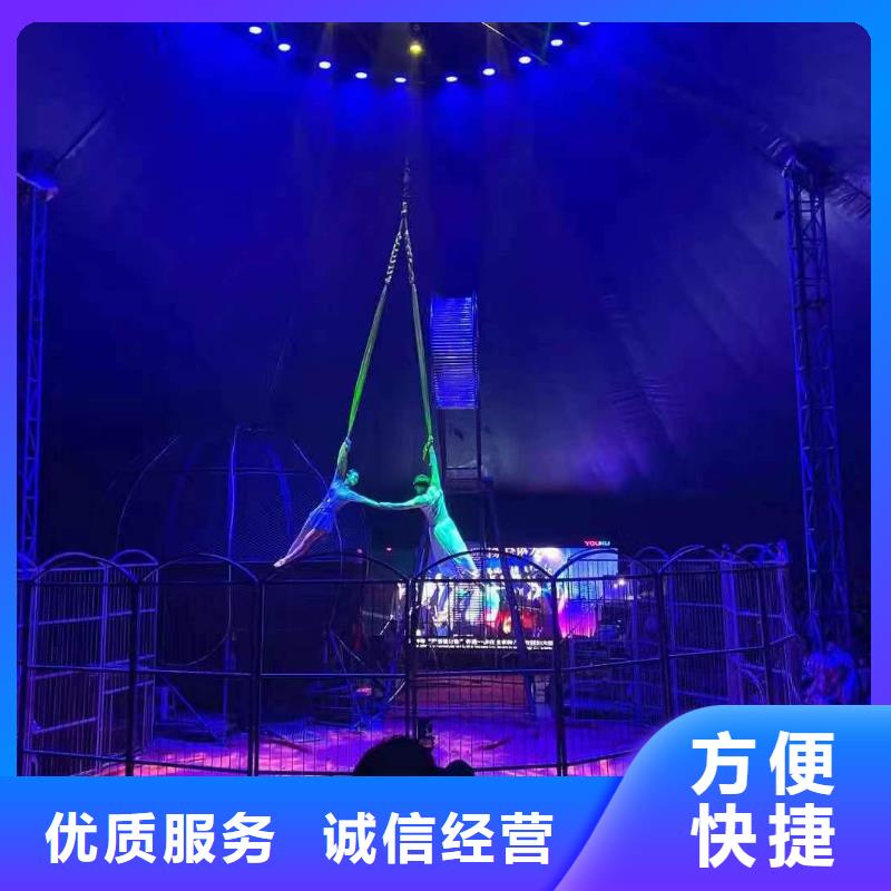 环球飞车表演租赁创意方案