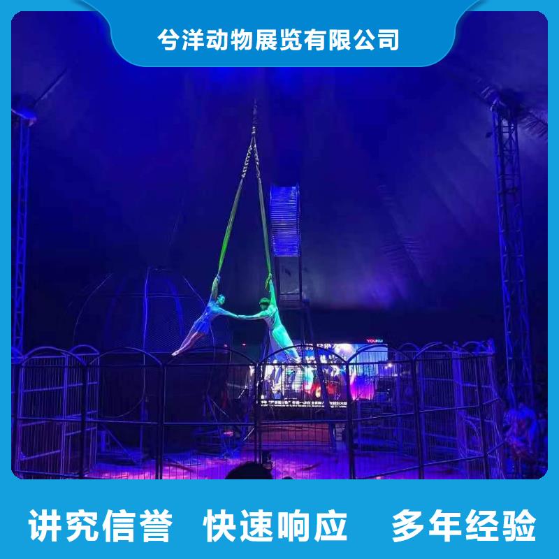 【马戏团/羊驼【企鹅表演】拒绝虚高价】