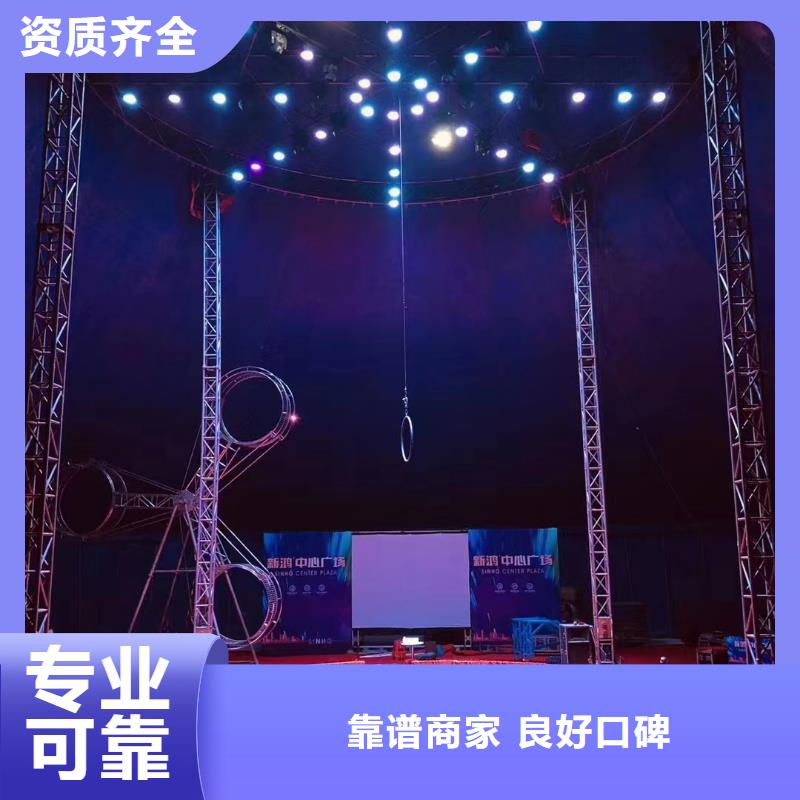 马戏团/羊驼小香猪宠物出租全市24小时服务