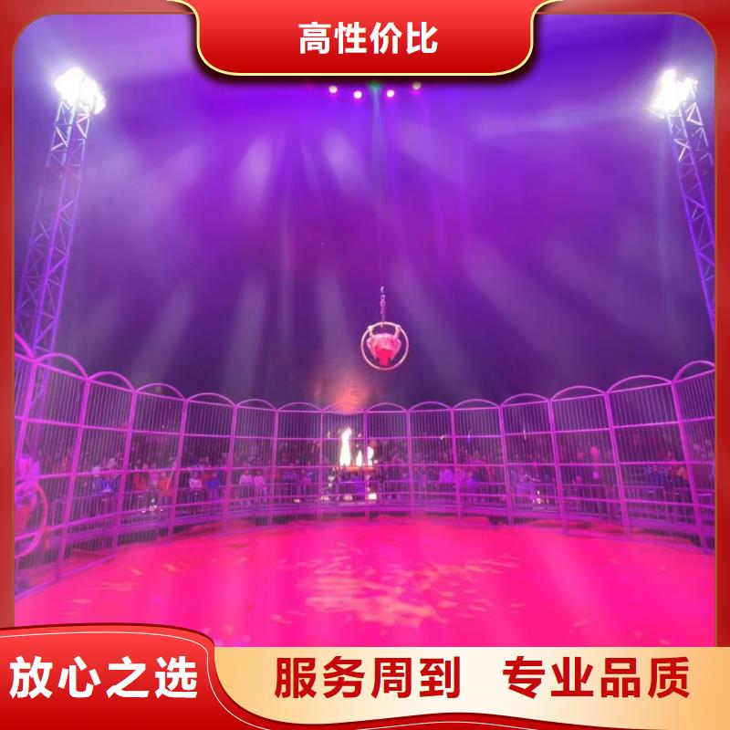 马戏团/羊驼出租表演羊驼齐全