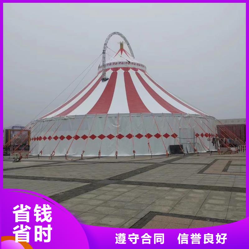 馬戲團(tuán)/羊駝-【動物表演】實力商家