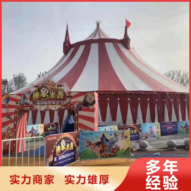 马戏团/羊驼羊驼出租值得信赖