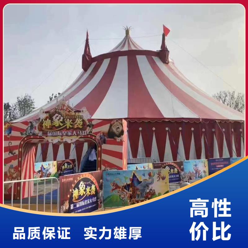 马戏团/羊驼-【海狮表演出租】公司兮洋美人鱼表演
